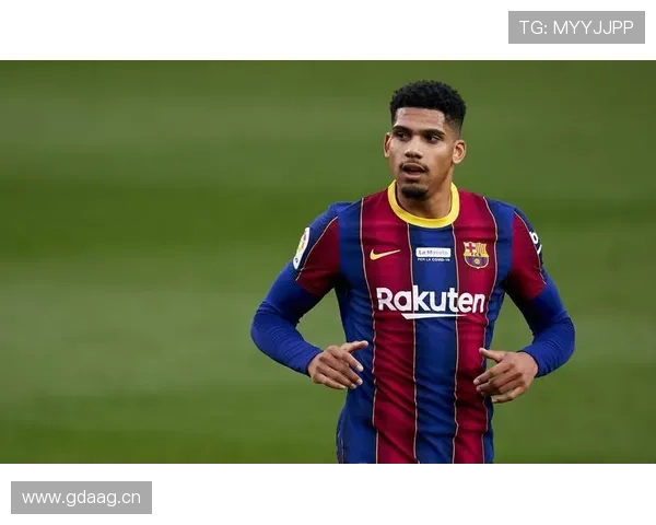 阿劳霍防线领导力