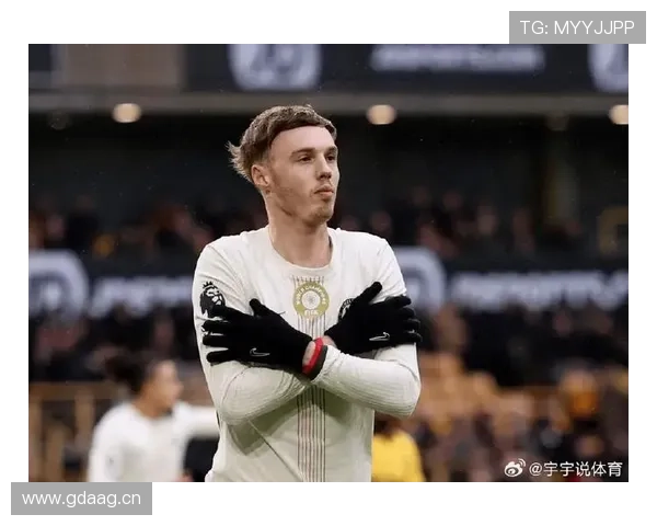 帕尔默能否成为顶级球星：潜力与上限分析