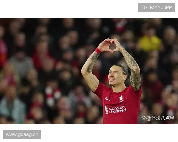 努涅斯高价转会后的期待与现实落差解析